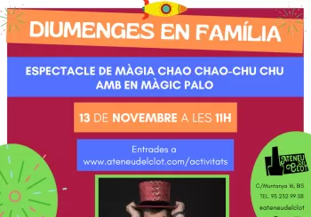 DIUMENGES EN FAMÍLIA AMB EN MÀGIC PALO en Barcelona
