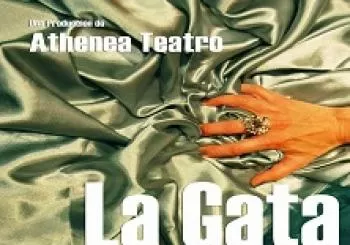 La gata en Laguna De Duero - Valladolid