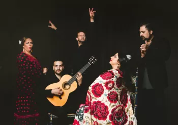 Espectáculo de flamenco en tablao Casa Ana en Granada