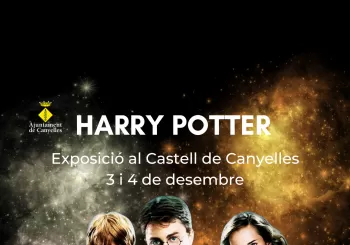 Exposició Harry Potter - Fira Santa Llúcia Canyelles - Garraf en Canyelles, Garraf