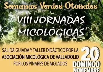 SEMANAS VERDES OTOÑALES 