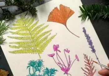 Family Queer Botanical Drawing Session en Chelsea Physic Garden