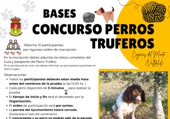 Concurso Perros Truferos. 4 de Diciembre 2022 (12:30 hs.) en Cogeces del Monte