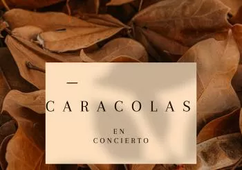 CARACOLAS EN CONCIERTO ROCKPALACE MADRID