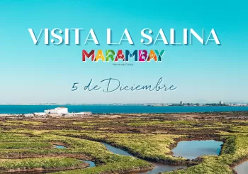 Visita la salina de Marambay en Cádiz