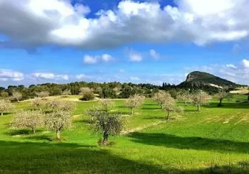 Ruta Folk al Pla: Pujada al puig de Sant Nofre en Sant Joan