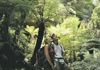 Sunset Blue Mountains Wilderness & Wildlife Tour (Without the Crowds) en Sydney