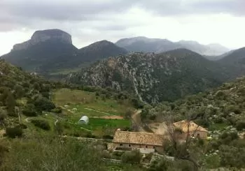 Tossals Verds (familiar) - Rutes Diada de Mallorca 2022 en Lloseta