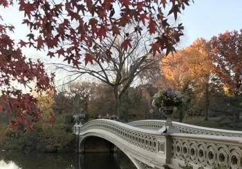New York City Scavenger Hunt: Central Park Adventure