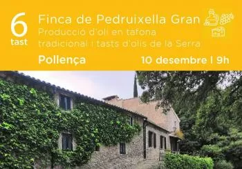 TAST a Pedruixella Gran (Pollença)
