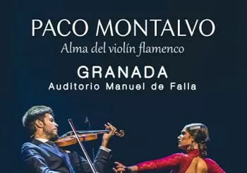 Paco Montalvo - Alma del violín flamenco en GRANADA