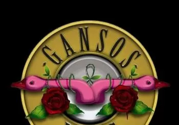 Gansos Rosas en Alicane 2023 en Alicante