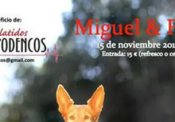 Miguel & Friends. En Madrid