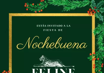 Nochebuena FELINE en BARCELONA