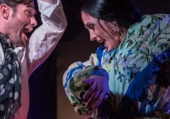 Atelier de flamenco : Centro Interactivo del Flamenco en Málaga