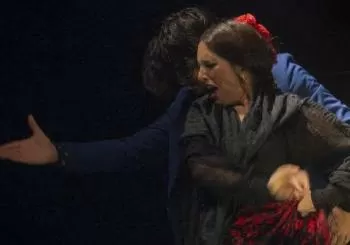 Espectáculo flamenco en vivo en El Gallo Ronco, Málaga
