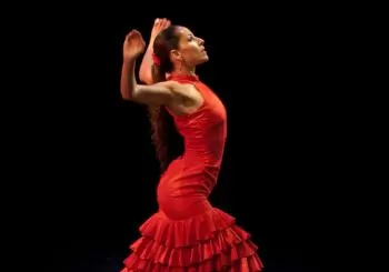 Arte Flamenco: espectáculo + entrada al museo Barcelona