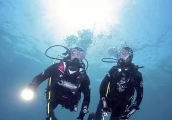 Full-Day Scuba Diving Charter to Goat Island Marine Reserve from Warkworth en Auckland