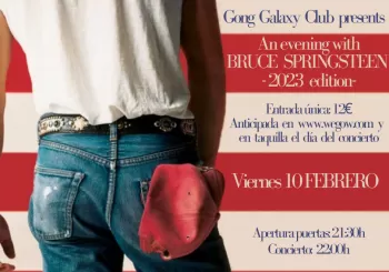 An evening with Bruce Springsteen in Oviedo