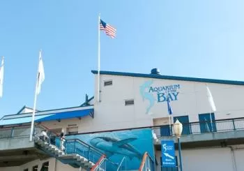Aquarium of the Bay en SF Bay Area