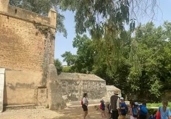 Ruta de la Cochinita - Ribera del Guadaíra en SEVILLA