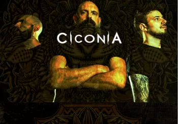 CICONIA EN AVILA