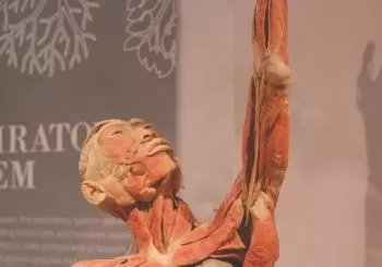 REAL BODIES at Bally’s Hotel & Casino en Las Vegas