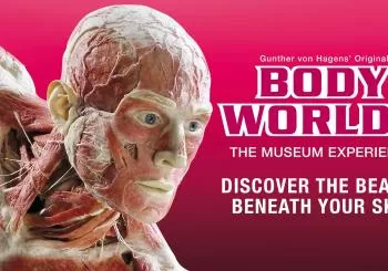BODY WORLDS London