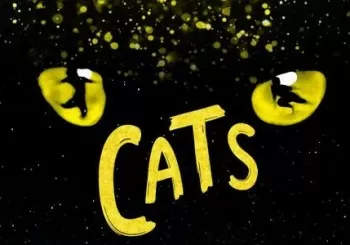 Cats en Roma