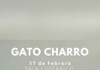Gato Charro (Sala Copérnico) en Madrid