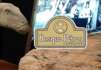 Bosque Pétreo en Castellote