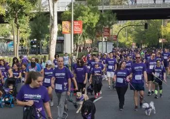 Perrotón Madrid 2023 Nicka Run contra el Abandono y Maltrato Animal