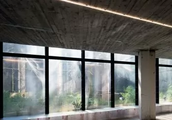 Reset Immersive - Whispering Lights : la grande exposition immersive en Brussels