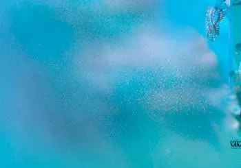 Aqua en MILANO
