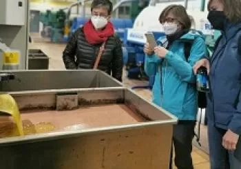 Visita guiada Almazara + Cata degustación en JAÉN