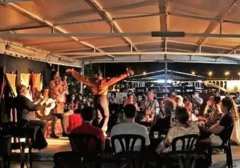 Cultura Flamenca y Crucero en Sevilla