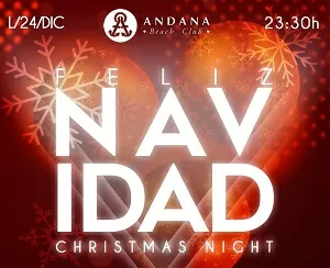Feliz Navidad- Christmas Night