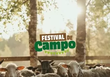Festival de campo: actividades, gastronomía, música y más en Madrid