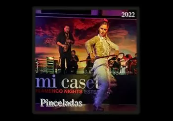 Mi Caseta Flamenco Show en Estepona, Málaga