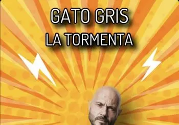 Gato Gris en Madrid