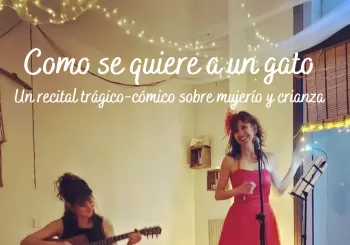 Como se quiere a un gato en Barcelona