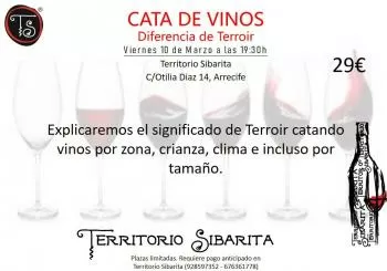 Cata de vinos 