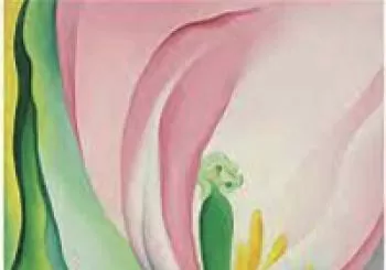 FLORES Y ACUARELAS, INTERPRETANDO A GEORGIA O'KEEFFE en MADRID