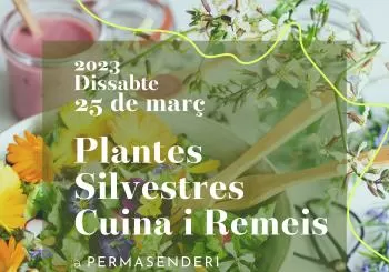 Plantes Silvestres Cuina i Remeis en L'esparra (Riudarenes)