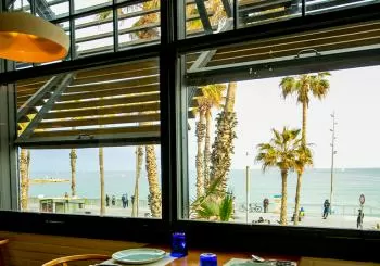 Cava y una ostra mirando al mar en Barcelona