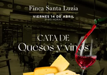 Cata de quesos y vinos en San Juan de Alicante