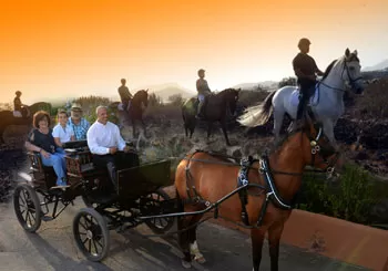 Paseo a caballo o en carro + almuerzo o cena