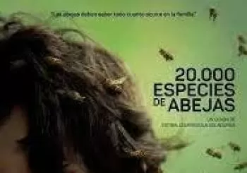 20000 especies de abejas en azpeitia