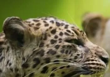 Museo di Storia Naturale G. Doria en GENOVA