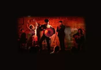 FLAMENCO DE LEONES en MADRID